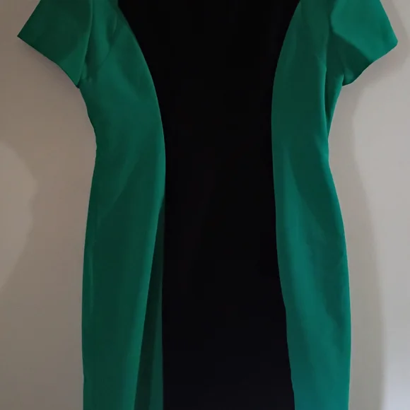 Calvin Klein Green and Black Mini Dress - Picture 7 of 11
